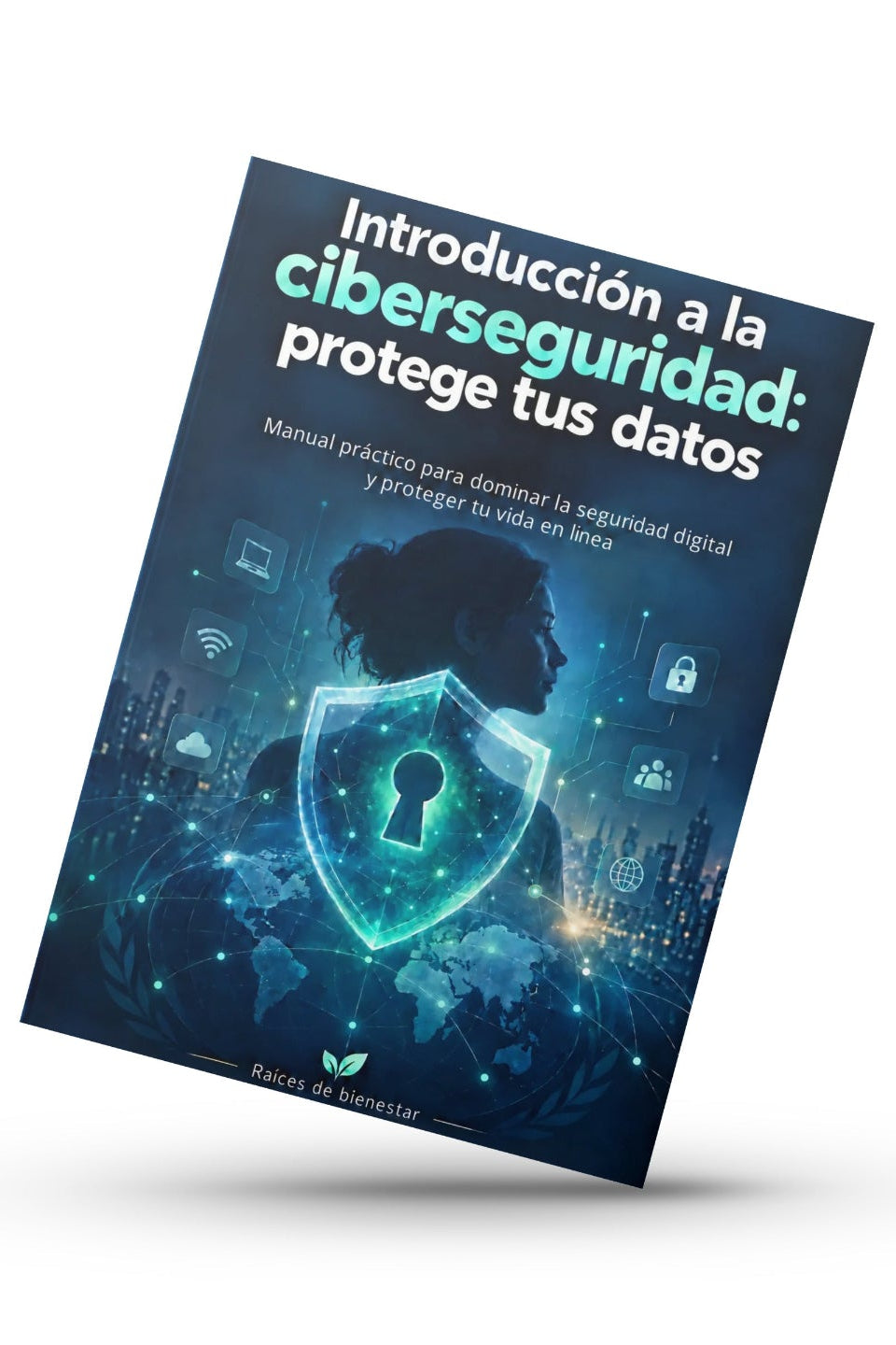 Introducción a la Ciberseguridad